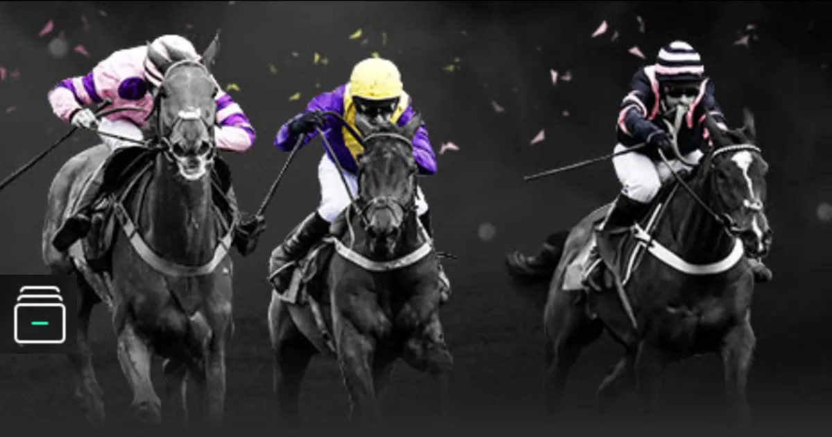 澳網彩经指,解析赔率技,投注攻略与,拼搏在线彩神通,彩票预测,彩票平台,在线购彩,数据分析