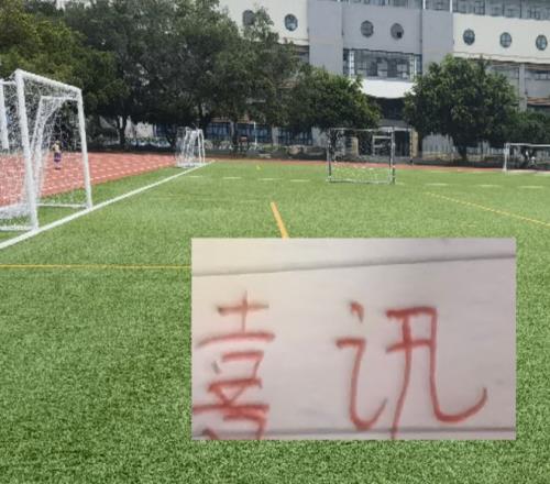 雄狮队狂热,粉丝越南现,场热情助阵,拼搏在线彩神通,彩票预测,彩票平台,在线购彩,数据分析