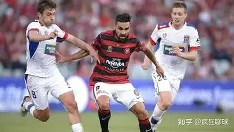 水晶宫前主席指责索斯盖特处理马奎尔问题不当，加剧危机